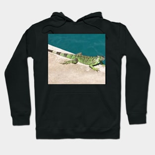 Iguana by the pool Hoodie